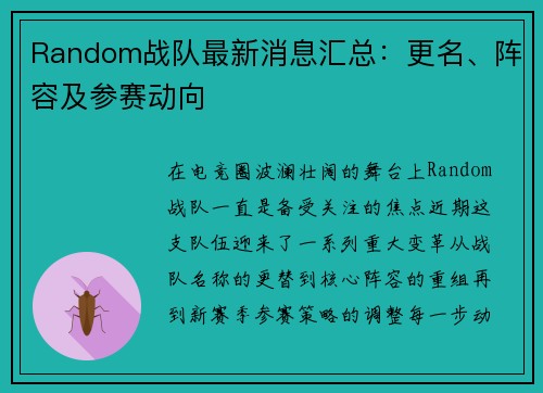 Random战队最新消息汇总：更名、阵容及参赛动向